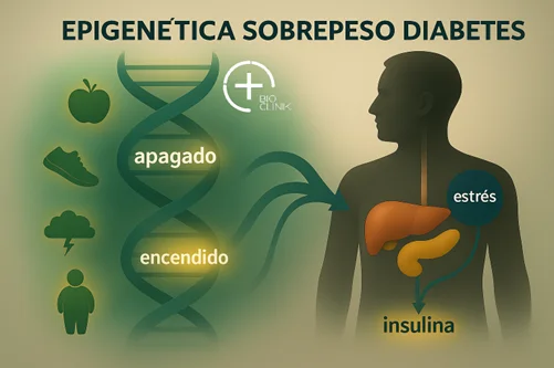 Epigenética, sobrepeso y diabetes tipo 2