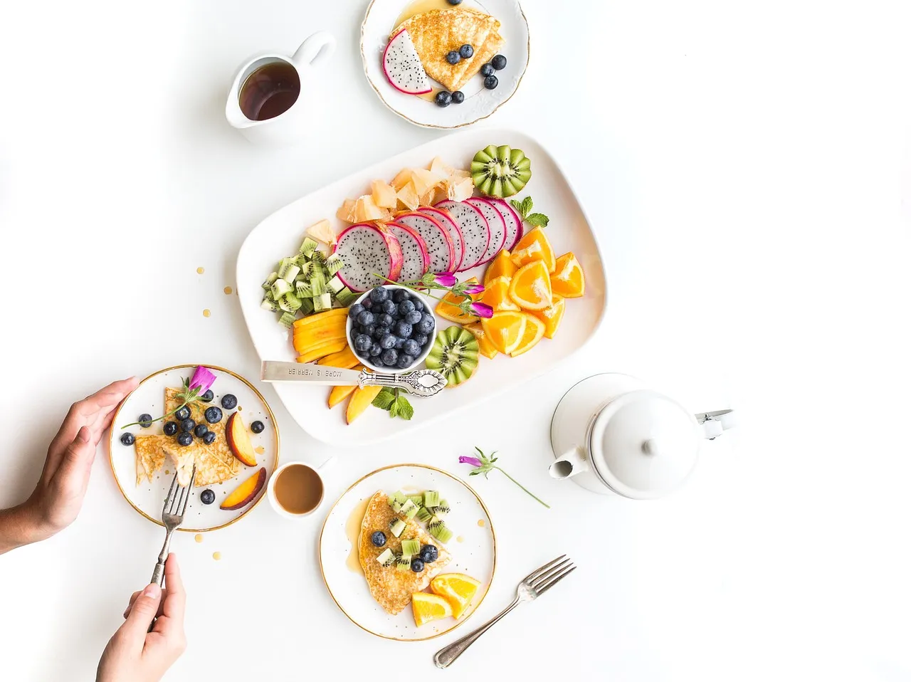 ¿Qué es nutrición, digestión y metabolismo?