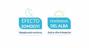 Efecto Somogyi y fenómeno del Alba: causas de azúcar alta en la mañana en diabetes - +Bio Clinik.