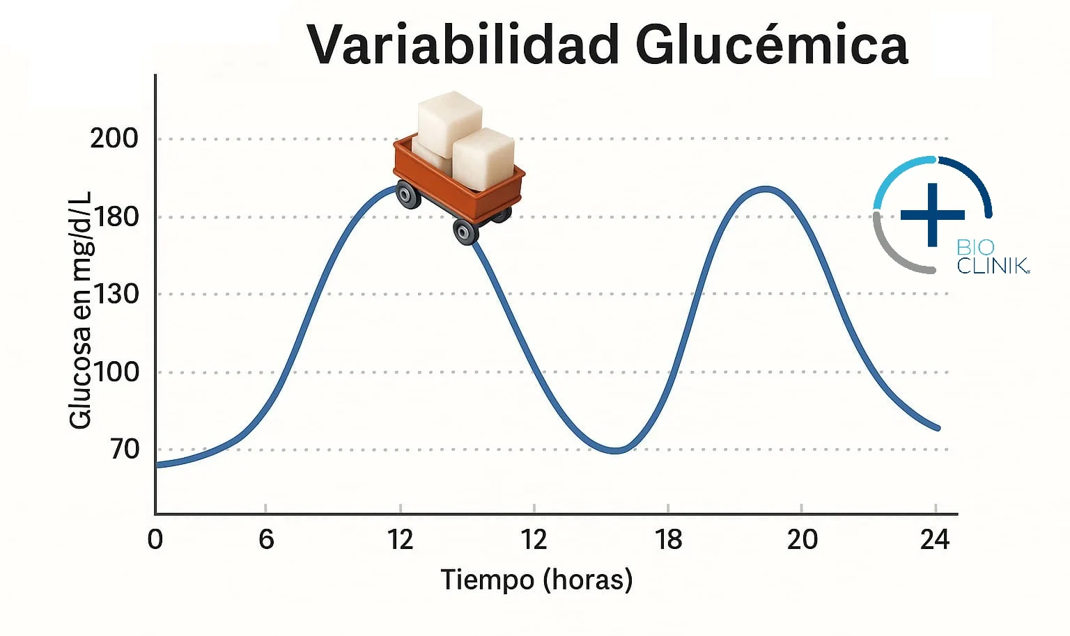 ¿Varía tu azúcar en el día?