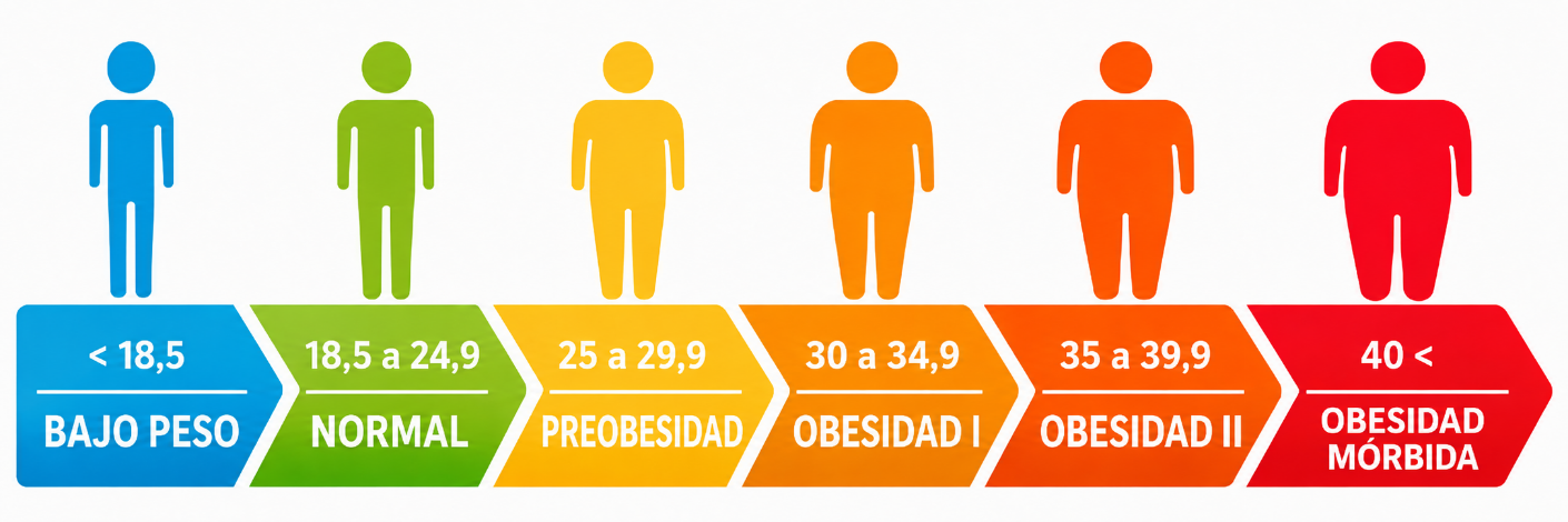 Escala de clasificación del IMC: bajo peso, normal, preobesidad, obesidad I, obesidad II y obesidad mórbida